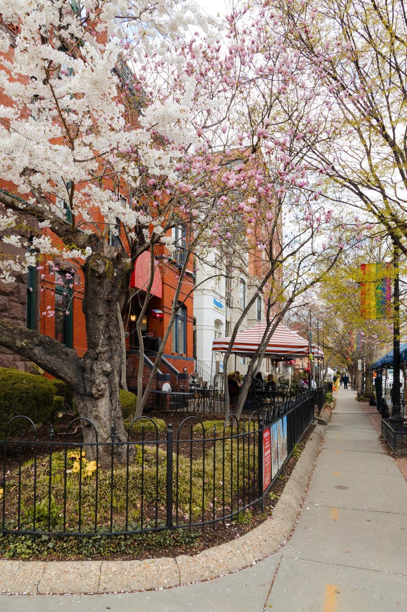 Dupont Circle Embassy Inn By Found Washington Exterior photo